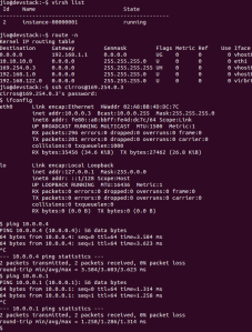 vm ssh and ping test